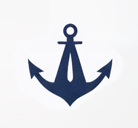 AVSMarine.com logo